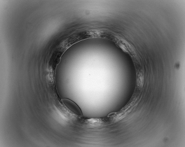 X0000099440477200805161138