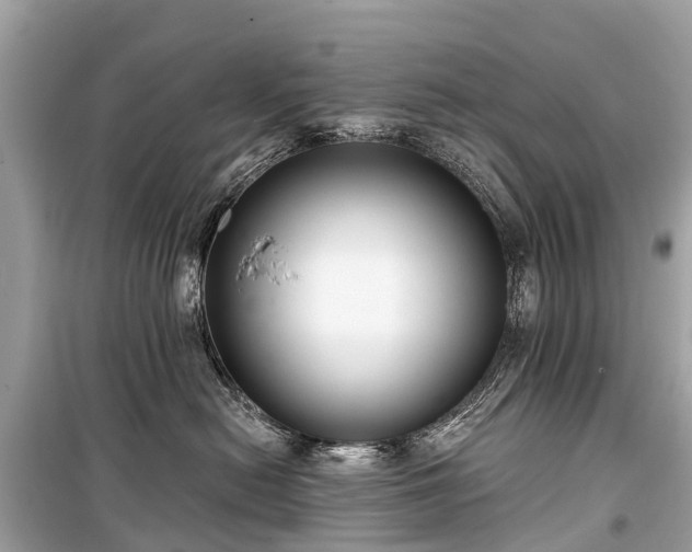 X0000099440478200805161138