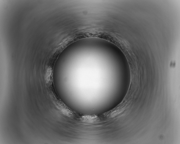 X0000099440480200805161138