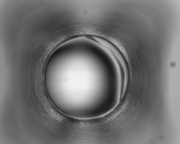 X0000099440481200805161137