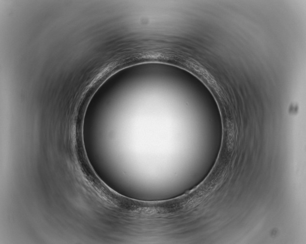 X0000099440482200805161137
