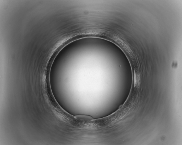 X0000099440483200805161137
