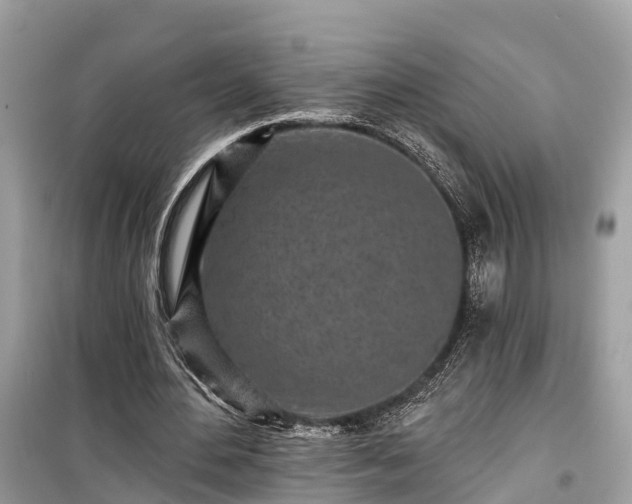X0000099440484200805161137