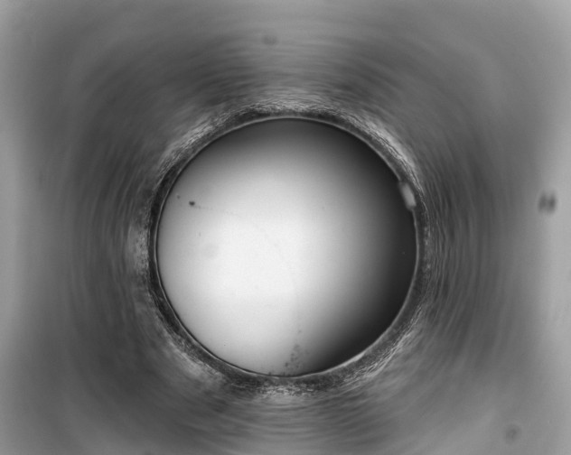 X0000099440489200805161137