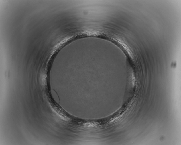 X0000099440492200805161137