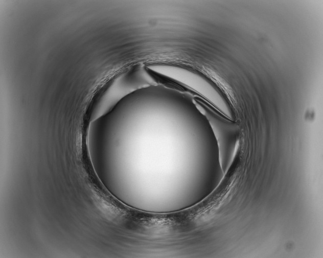X0000099440493200805161137