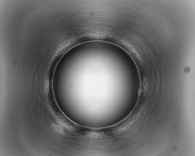 X0000099440494200805161137