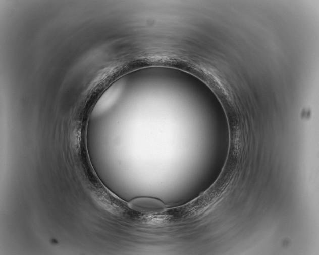 X0000099440495200805161137