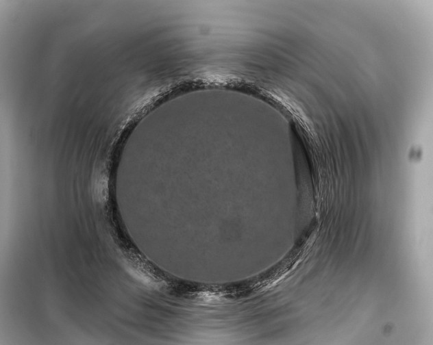 X0000099440496200805161137