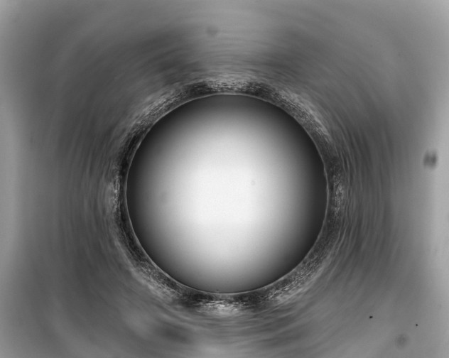 X0000099440498200805161137