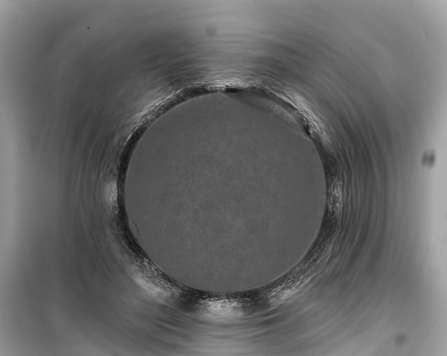 X0000099440500200805161137