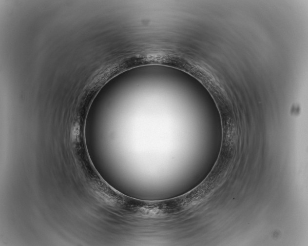 X0000099440502200805161137