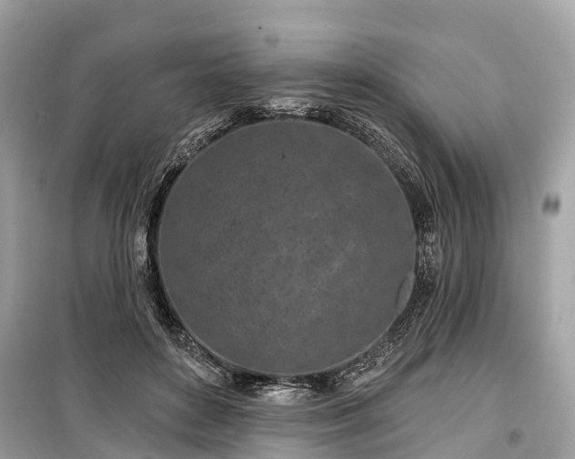 X0000099440504200805161137