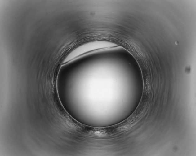 X0000099440506200805161137