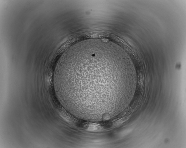 X0000099440507200805161137