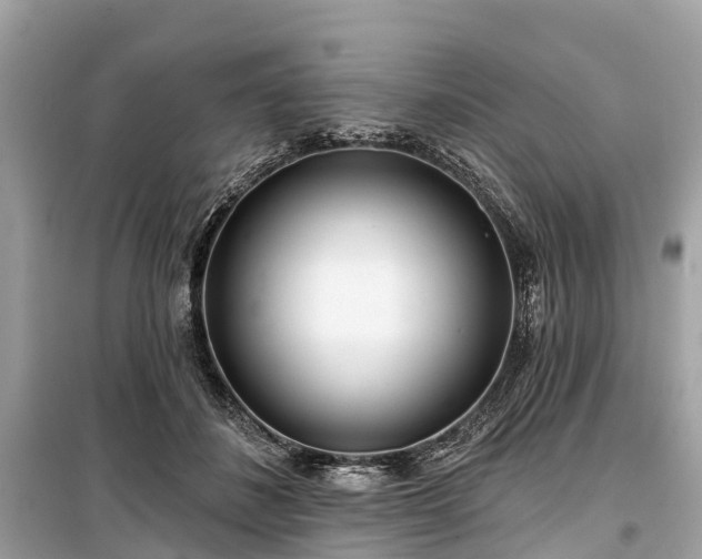 X0000099440508200805161137