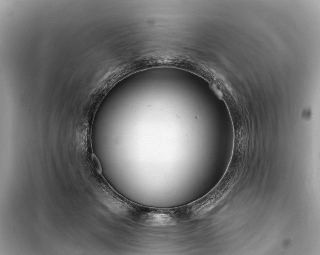 X0000099440509200805161137
