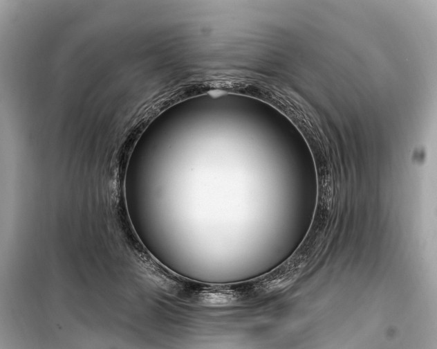 X0000099440510200805161137