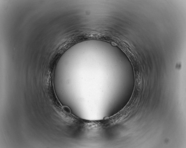 X0000099440511200805161137
