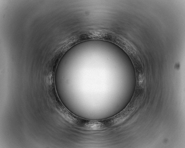X0000099440514200805161137