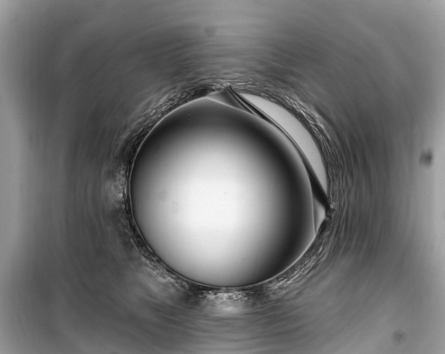 X0000099440517200805161137