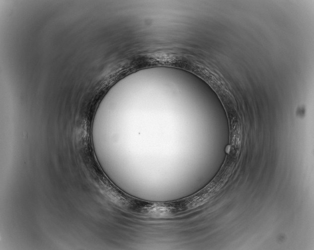 X0000099440518200805161137