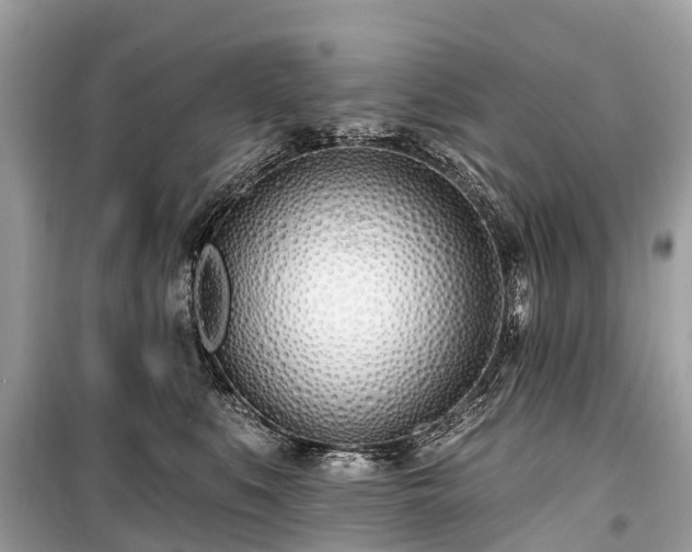 X0000099440519200805161137