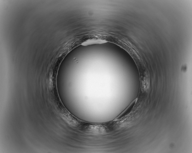 X0000099440520200805161137