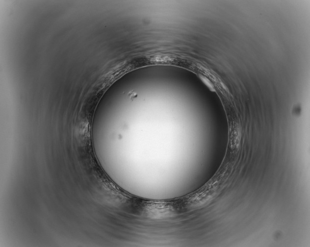 X0000099440521200805161137