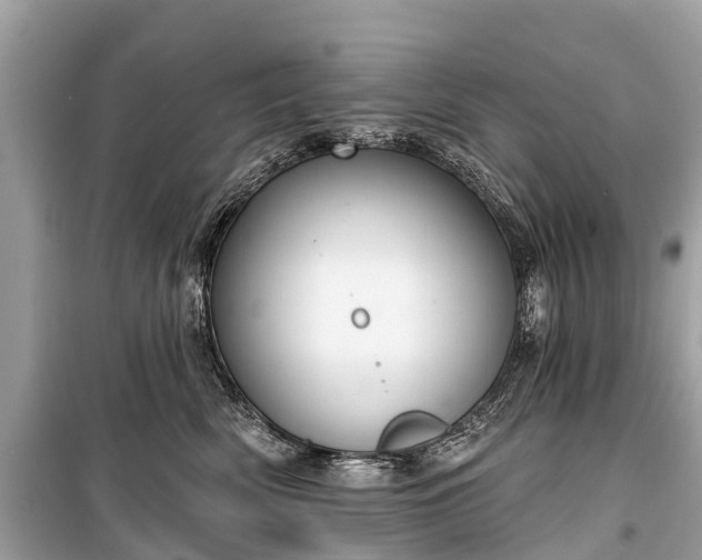 X0000099440522200805161136