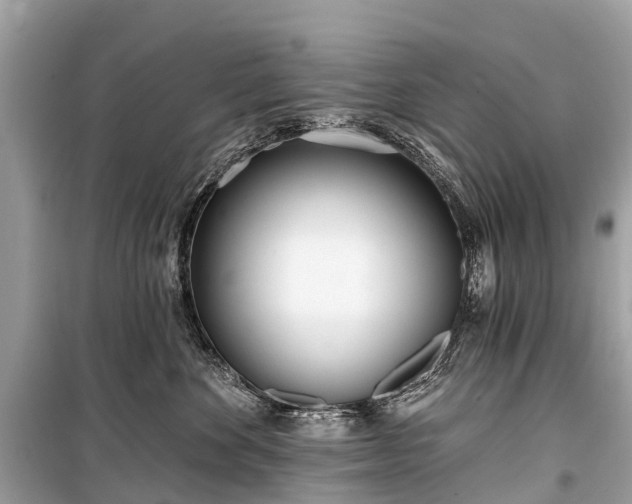X0000099440524200805161136