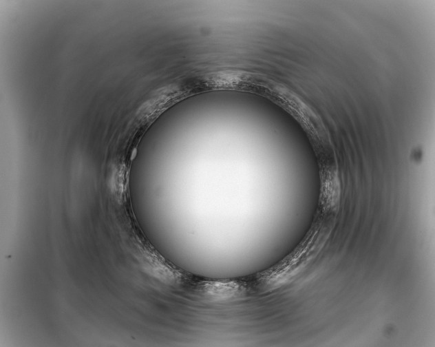 X0000099440525200805161136