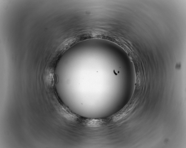 X0000099440527200805161136