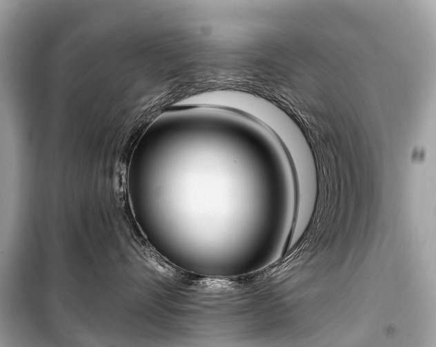 X0000099440528200805161136