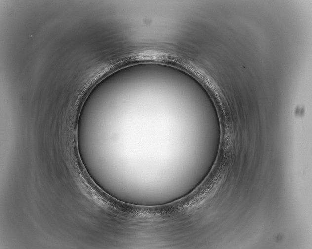 X0000099440529200805161136