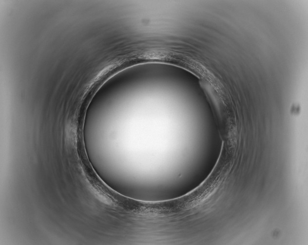 X0000099440530200805161136