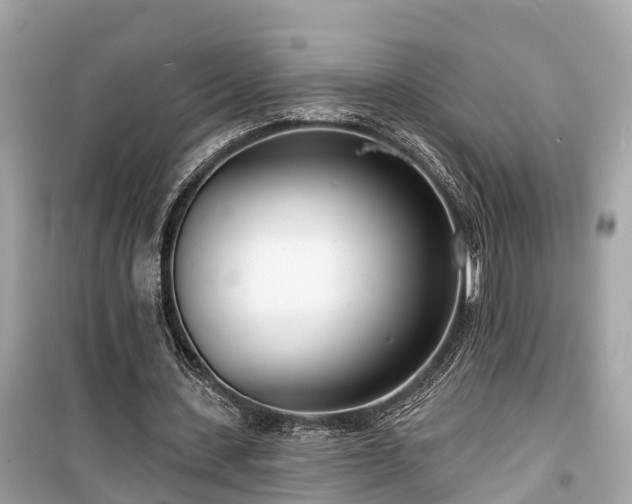 X0000099440531200805161136