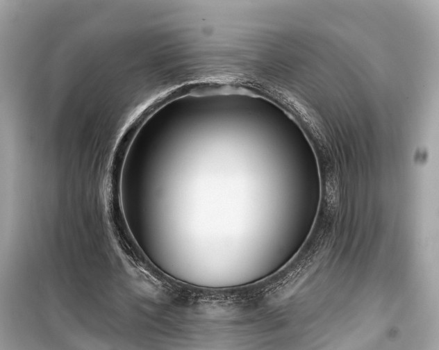 X0000099440532200805161136