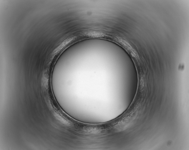 X0000099440533200805161136