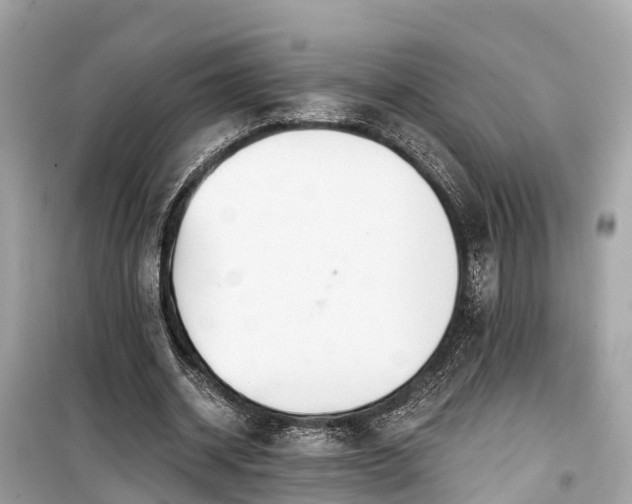 X0000099440534200805161136