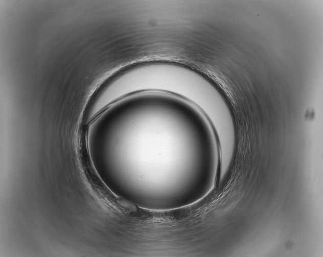 X0000099440536200805161136