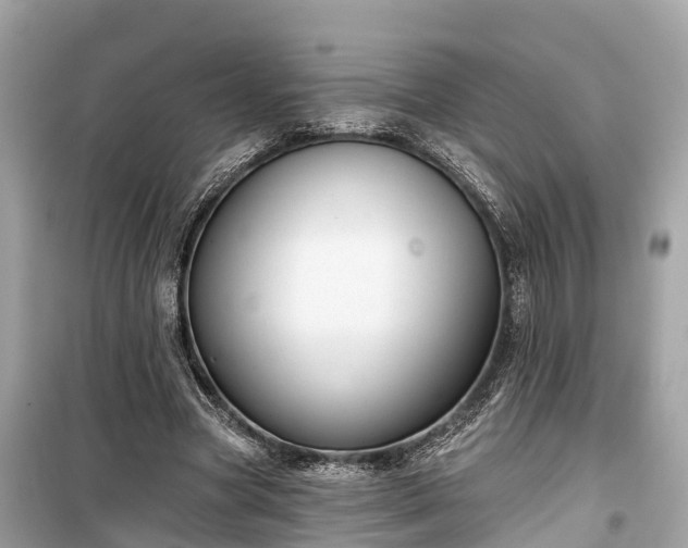 X0000099440537200805161136