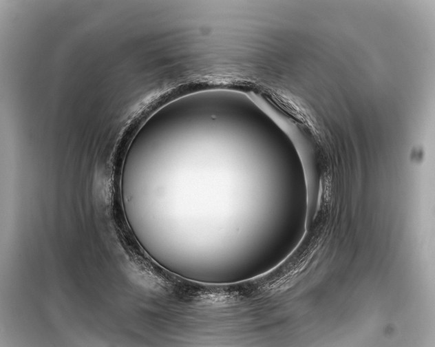 X0000099440540200805161136