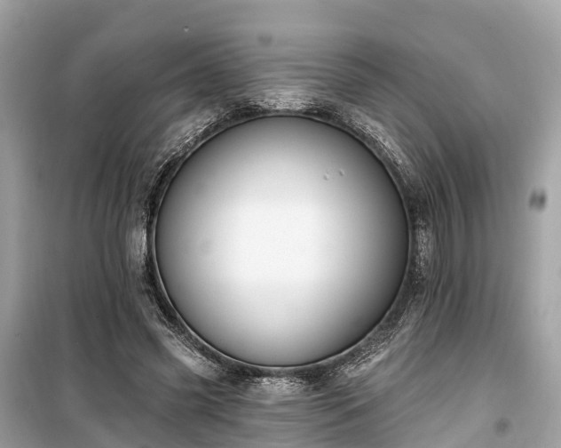 X0000099440541200805161136