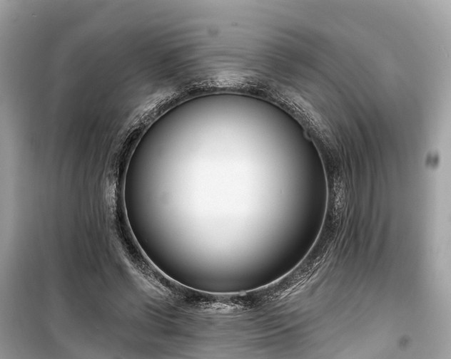 X0000099440542200805161136