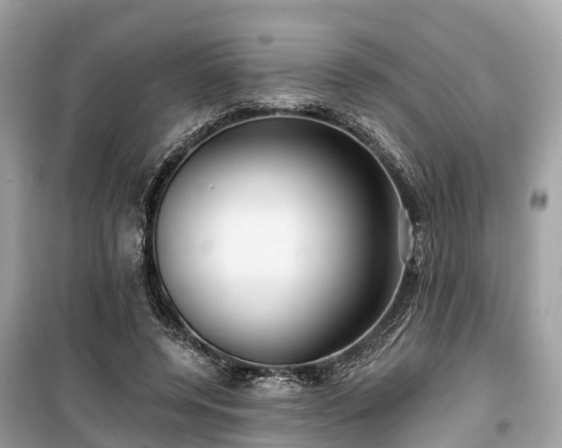 X0000099440544200805161136