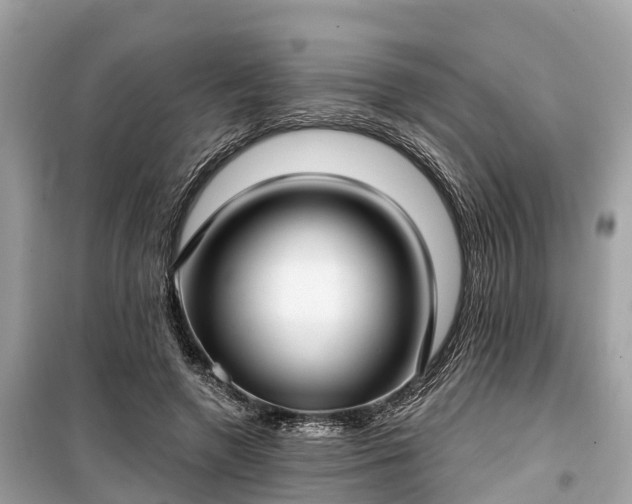 X0000099440546200805161136