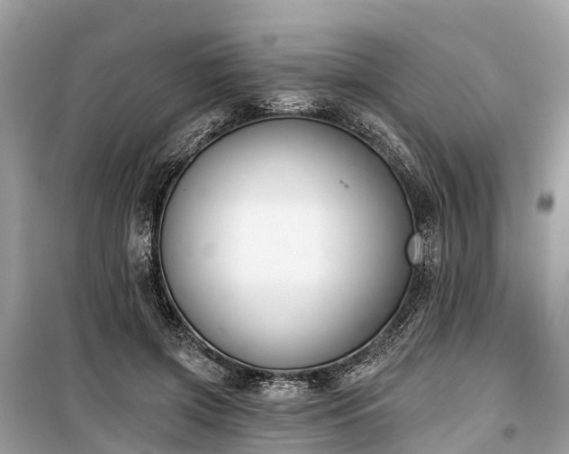 X0000099440549200805161136