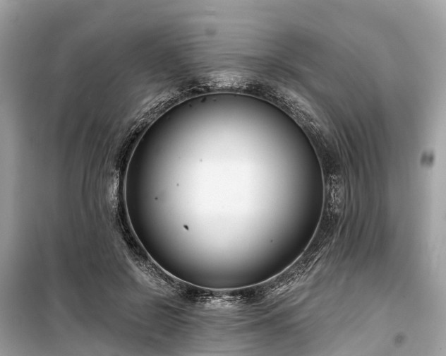 X0000099440550200805161136