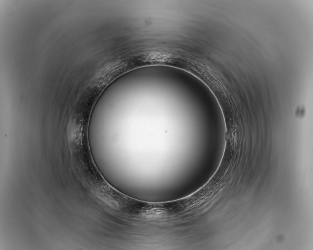 X0000099440551200805161136